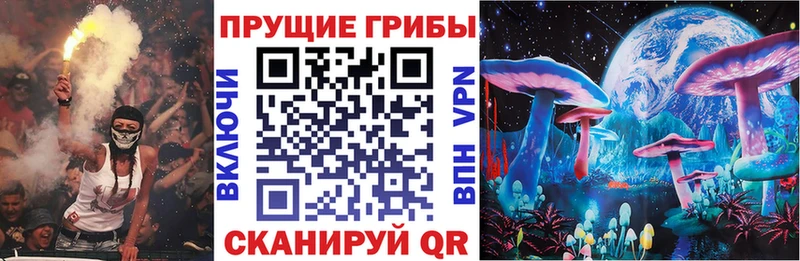 Купить  Будённовск  Псилоцибиновые грибы мицелий 